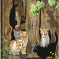 Hole in the Wall Gang - Kittens - 20.5" x 16"