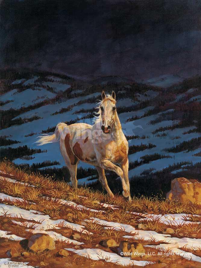 horse-art-print-approaching-storm-stallion-by-chris-cummings-1195022081d.jpg