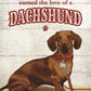 Hot Dog-Dachshund - 18" x 12" Wood Sign