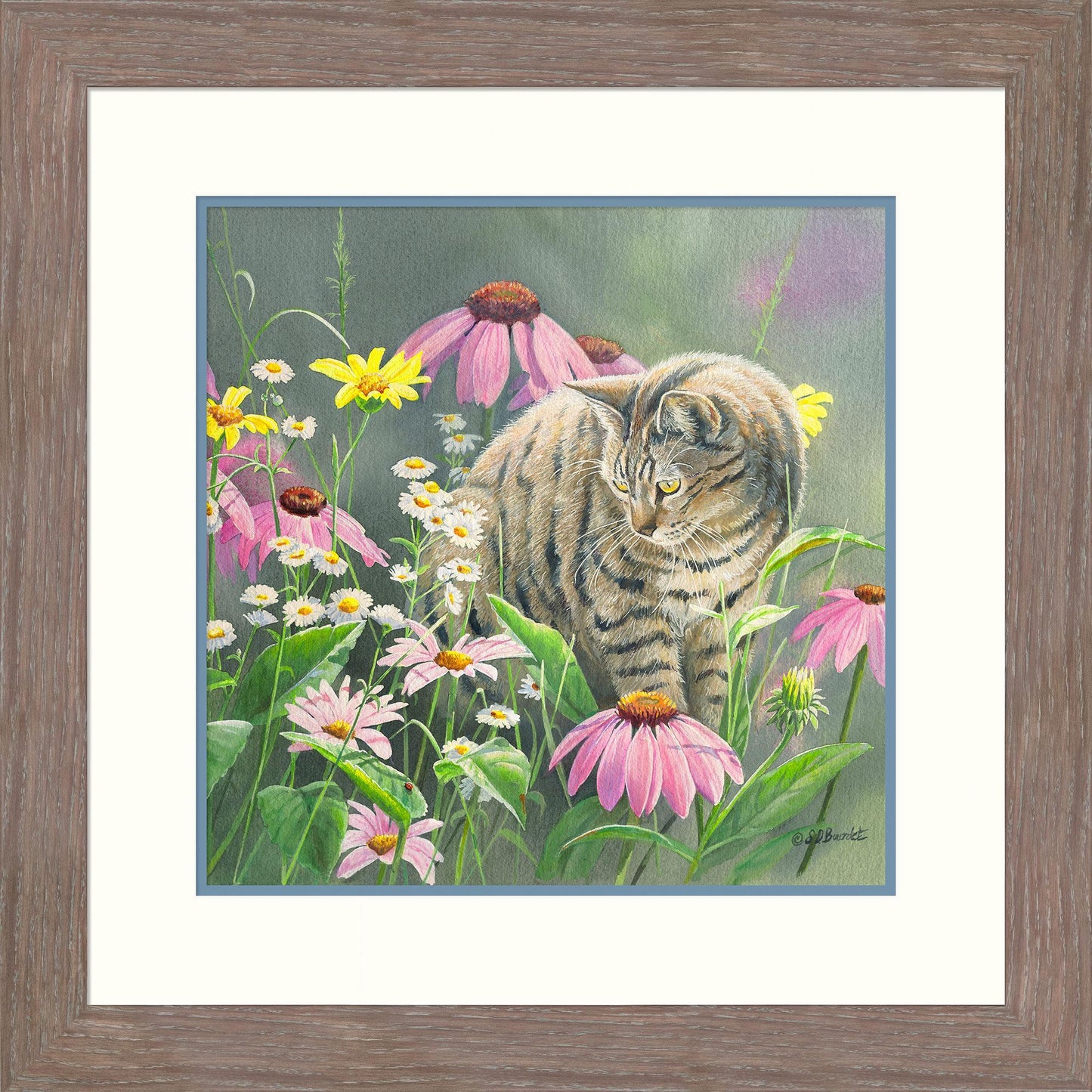 In the Wildflowers - Cat - Paper Print