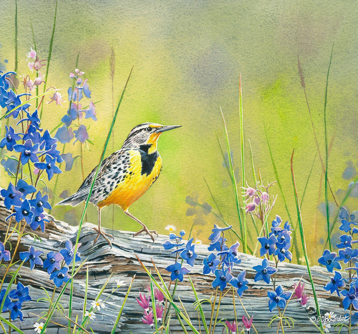 lark-and-larkspur-14x15bourdet-1085474536.jpg