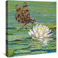 Lily and Lace—Dragonfly - 14" x 14" Gallery Wrapped Canvas