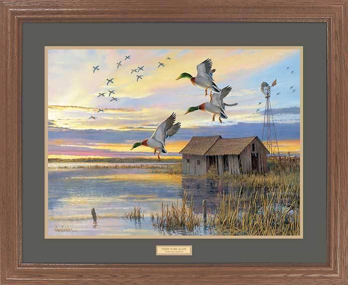 mallard-ducks-framed-art-print-their-home-again-by-ron-van-gilder-EPR9138901d_9c5ac56c-b40d-4a08-8929-4b284af0b322.jpg