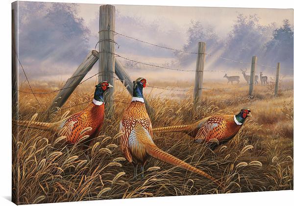 Meadow Mist - Pheasants - 24" x 36" Gallery Wrapped Canvas