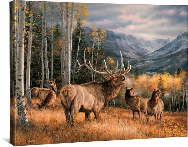 meadow-music-elk-gallery-wrapped-canvas-rosemary-millette-F593500066CGW_66df1757-9086-4e2b-8e79-b749b9e4e773.jpg