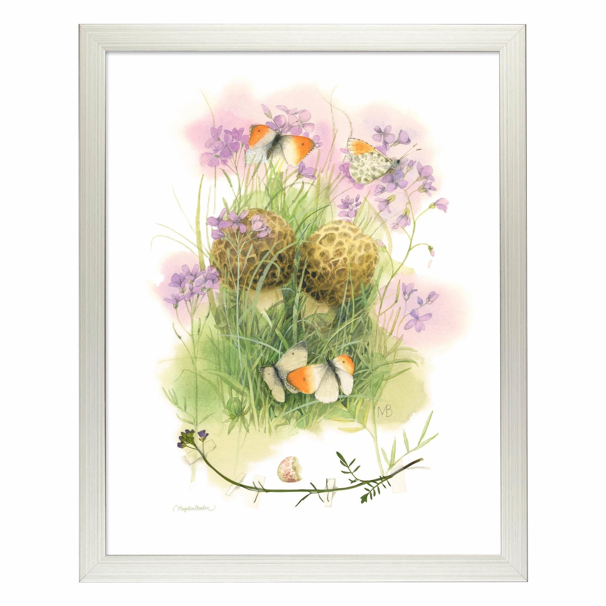 memories-framed-print-marjolein-bastin-F058505585S.jpg