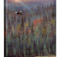 Misty Forest Bald Eagle - 20.5" x 16" Gallery Wrapped Canvas
