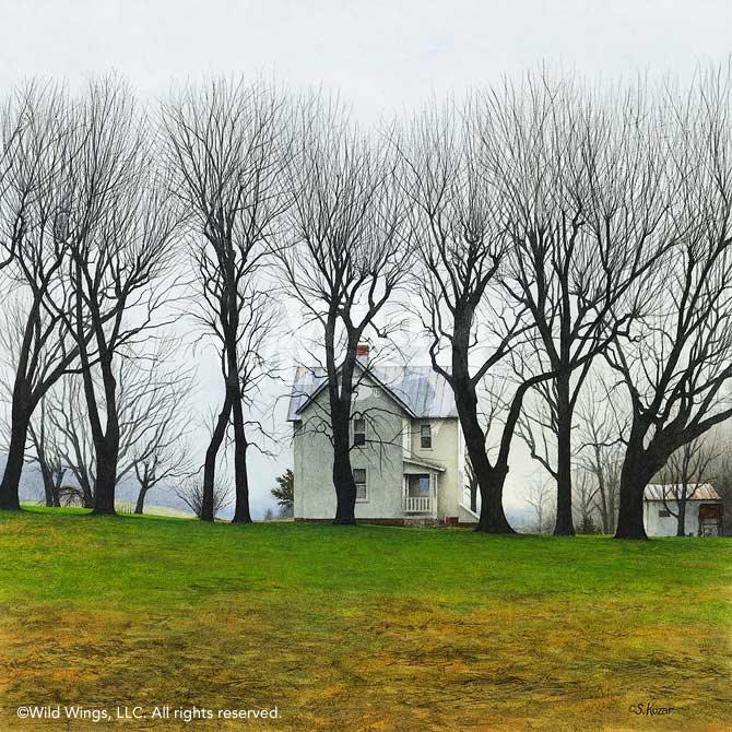 misty-morning-farm-house-art-by-steven-kozar-1470452089d_831b5c05-61ec-4afb-b50a-03df1c5773c4.jpg