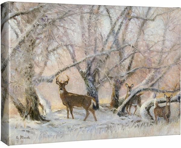 Morning Hoarfrost - Whitetail Deer - 13" x 18" Gallery Wrapped Canvas