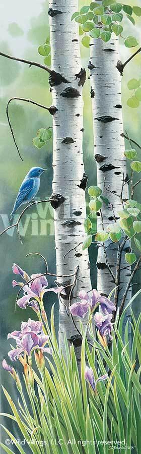 mountain-memories-bluebird-by-susan-bourdet-1085550038d_c3b436a4-4f9b-4d18-a96b-21ecf0d00ca9.jpg