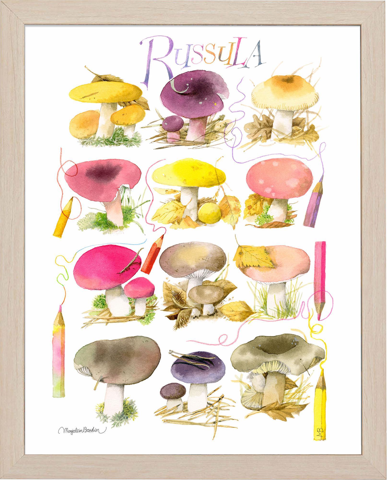 mushrooms-for-the-coloring-book-framed-print-F058558090N.jpg