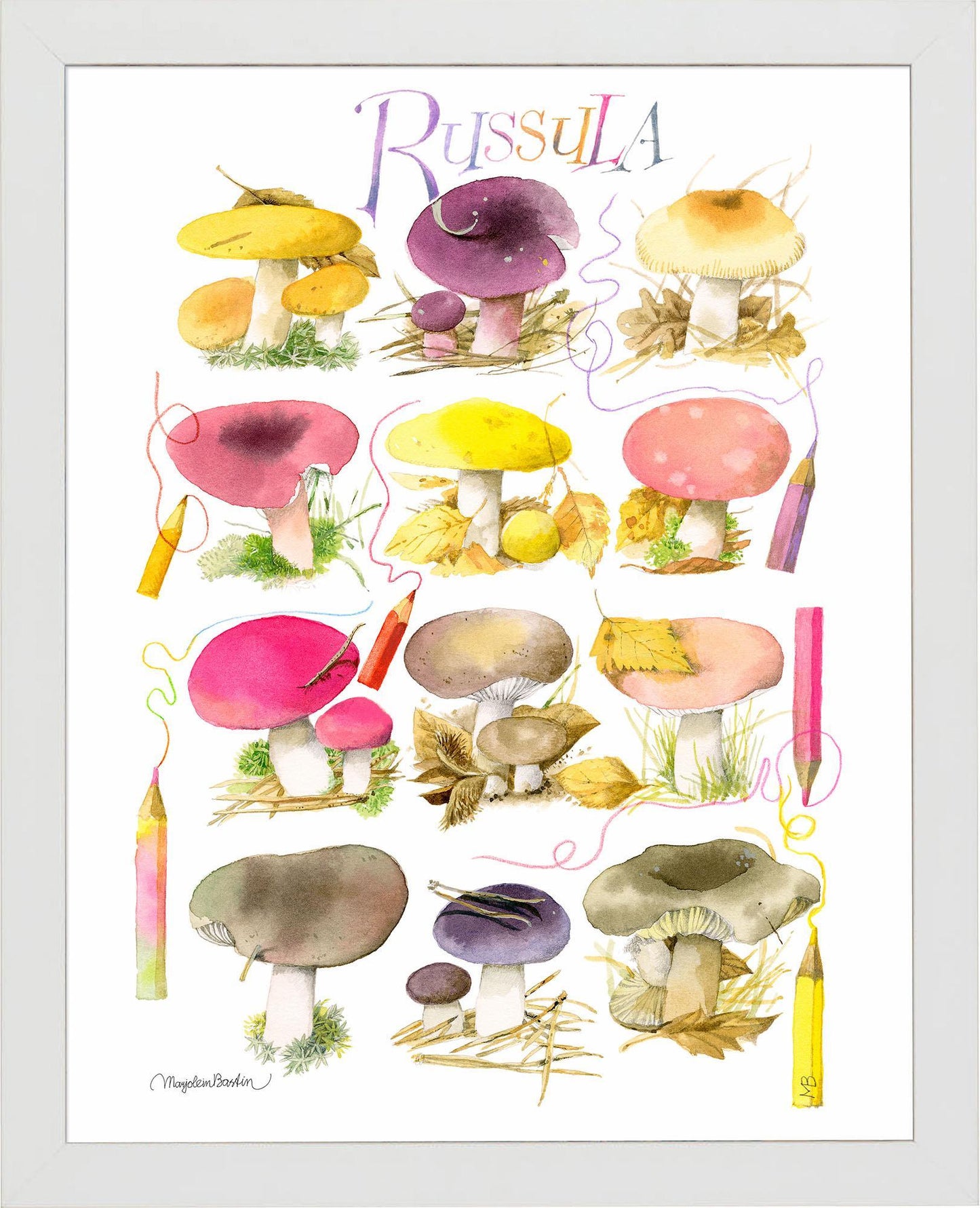 mushrooms-for-the-coloring-book-framed-print-F058558090W.jpg