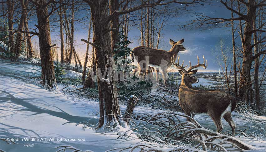 night-watch-elite-by-terry-redlin-1701391589d.jpg
