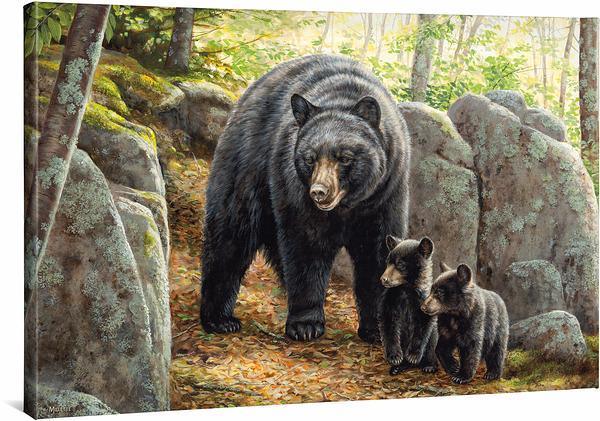 Northwoods Springtime - Black Bear - 24" x 36" Gallery Wrapped Canvas