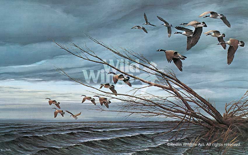 over-the-blowdown-by-terry-redlin-1701410589d.jpg
