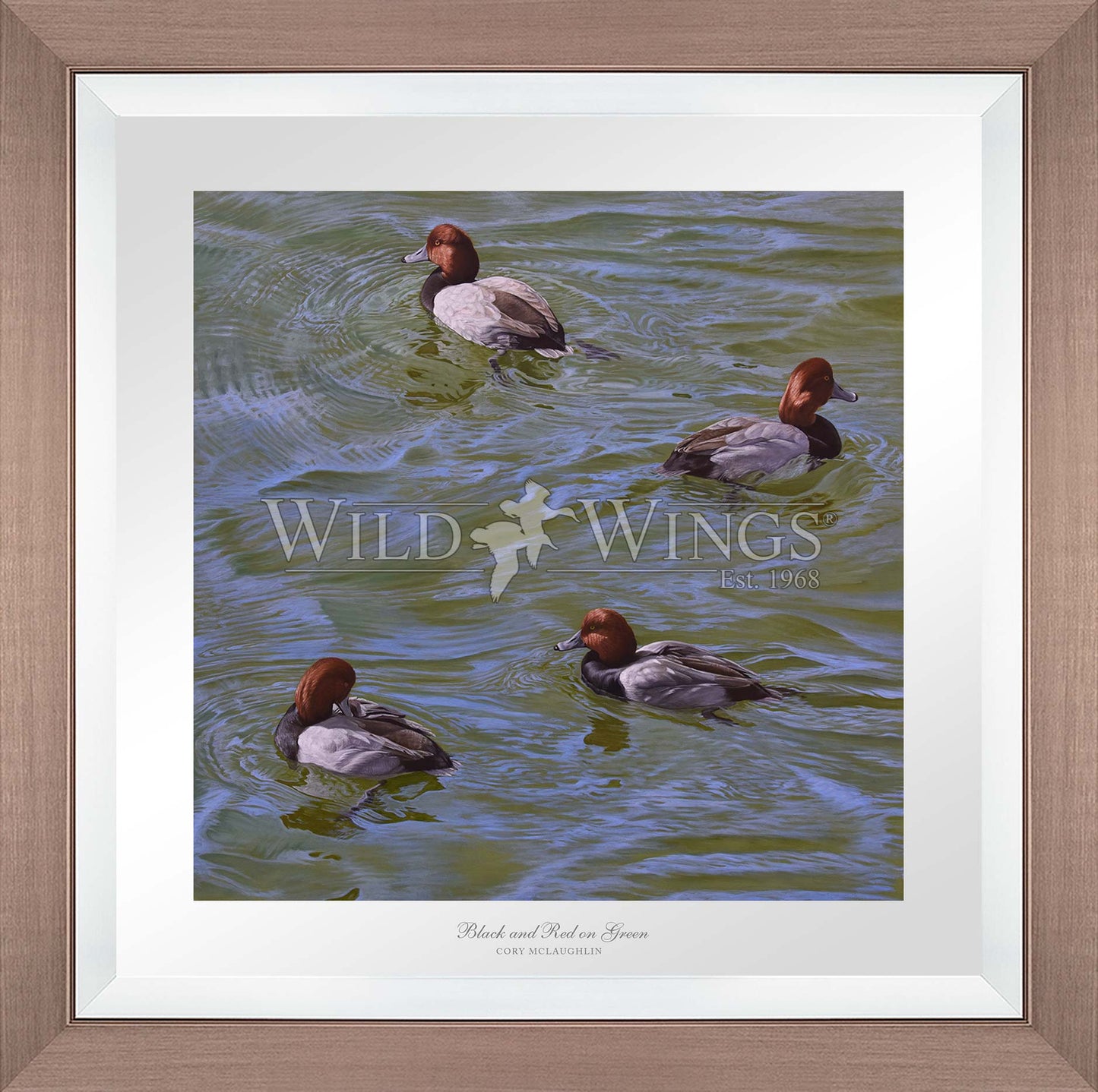 Framed swimming ducks