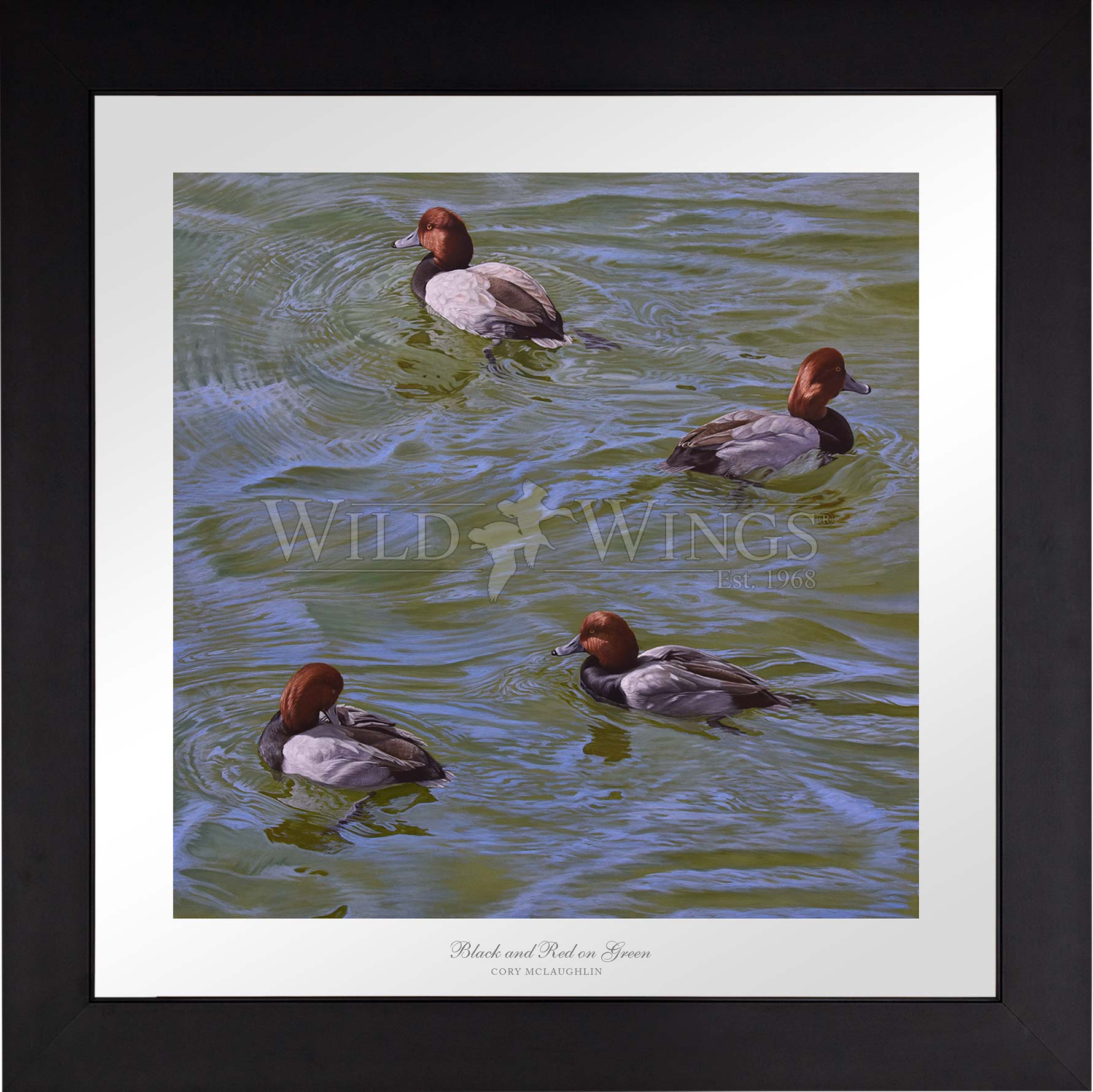 Framed swimming ducks