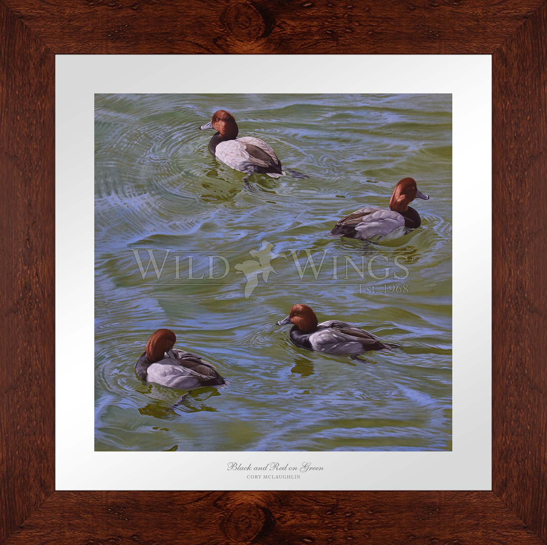 Framed swimming ducks
