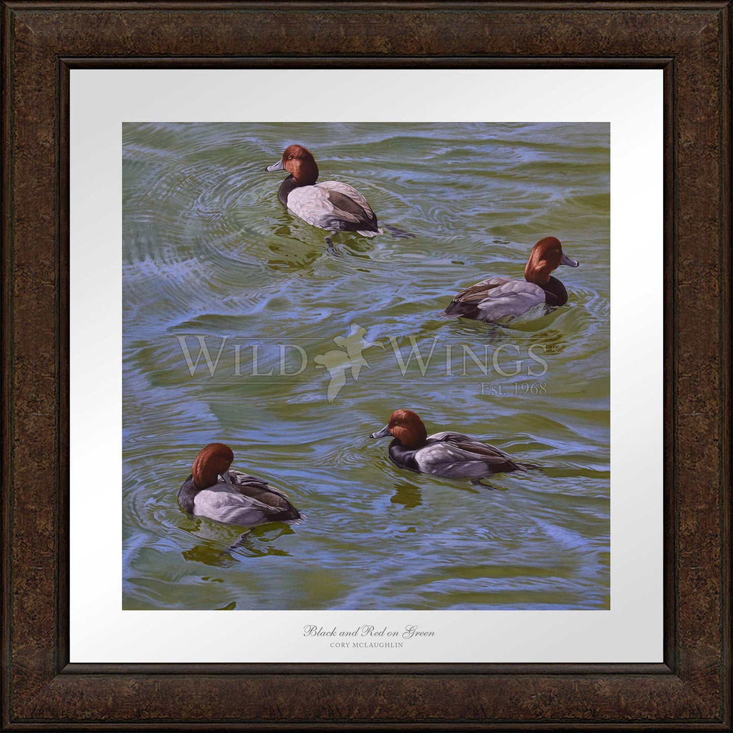 Framed swimming ducks