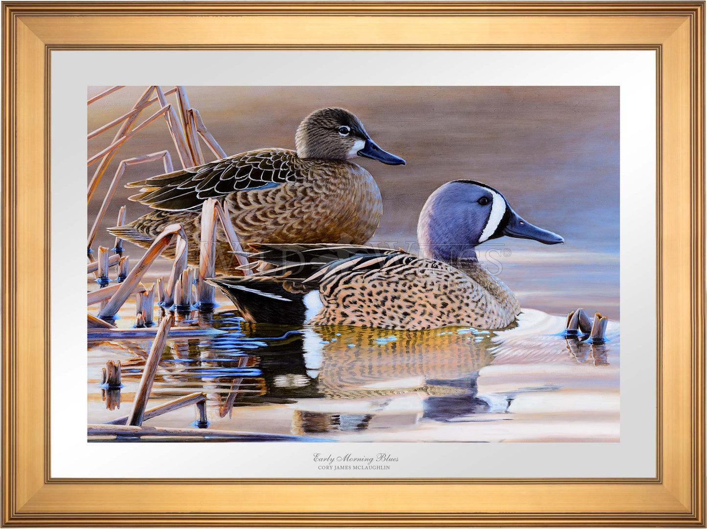 Framed two ducks in waters