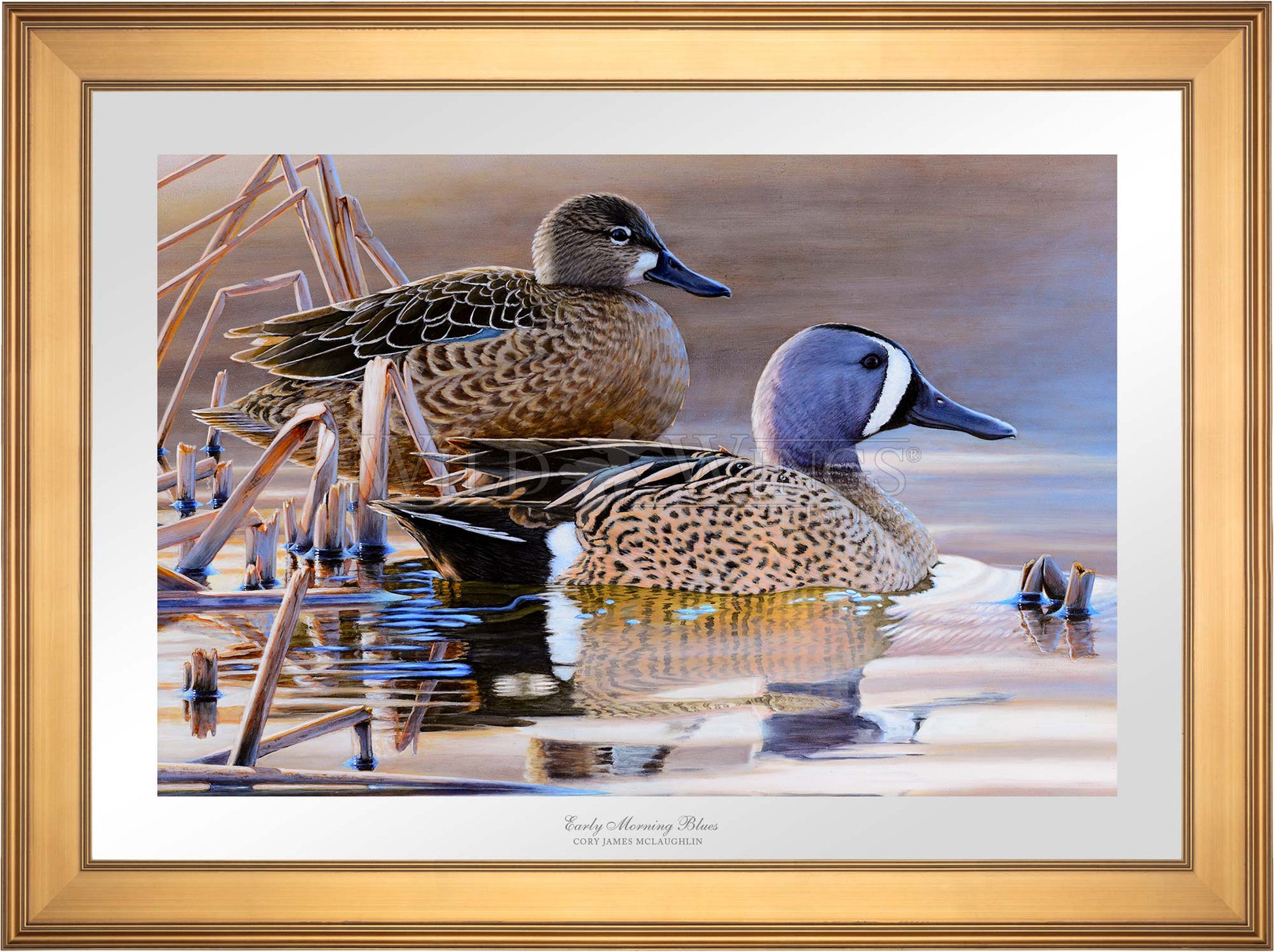 Framed two ducks in waters