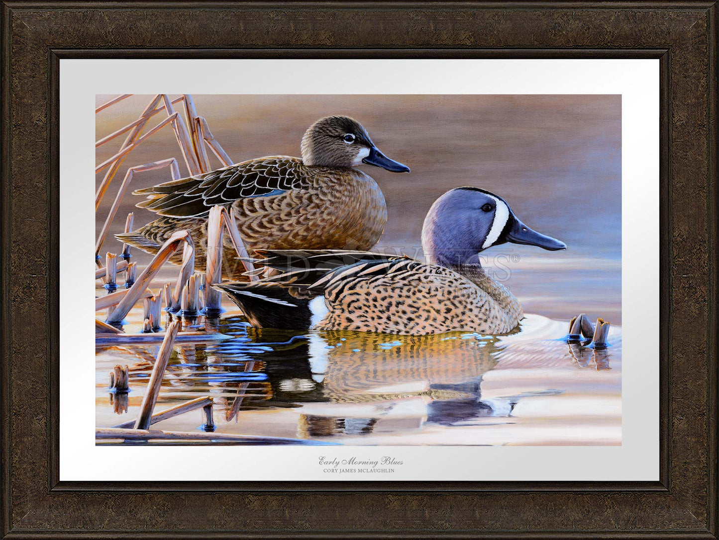 Framed two ducks in waters