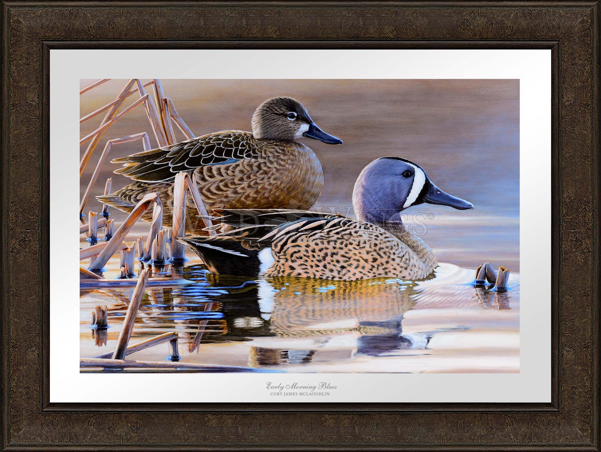 Framed two ducks in waters