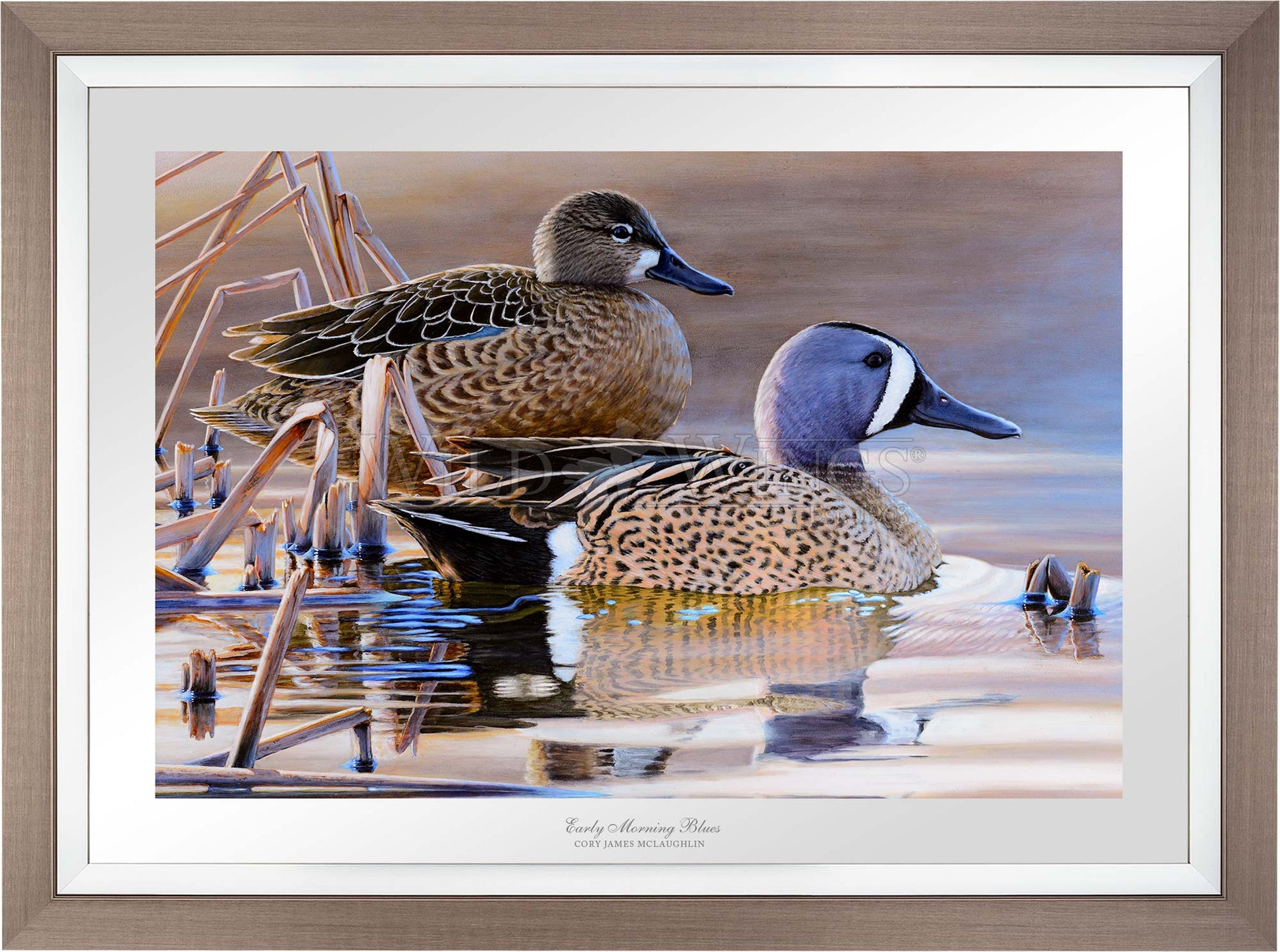 Framed two ducks in waters