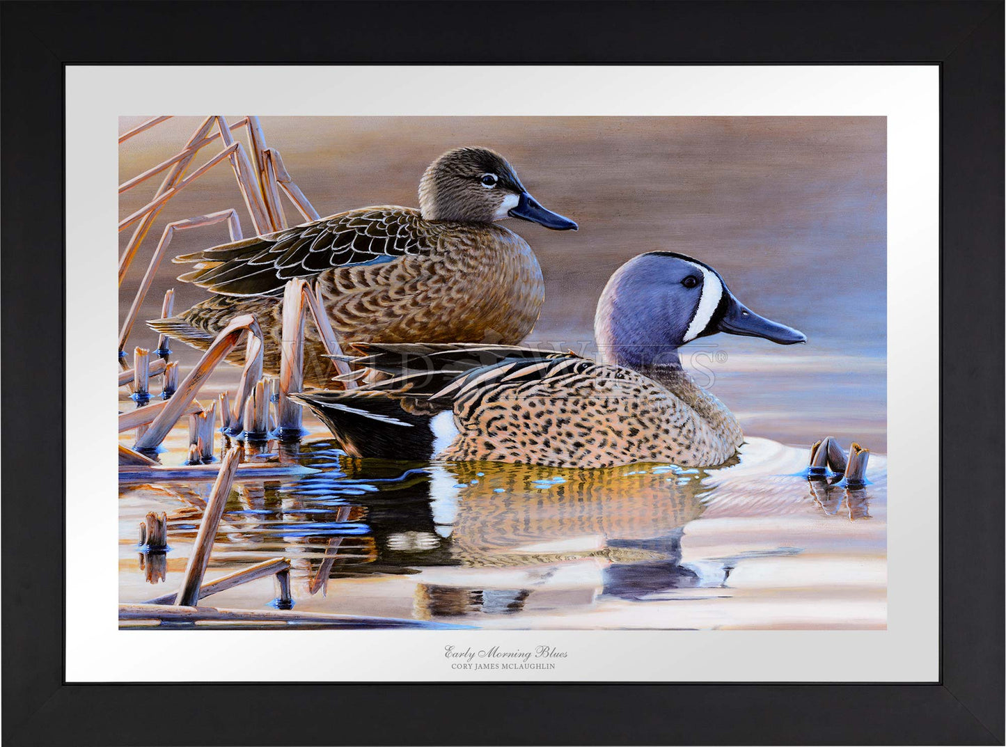 Framed two ducks in waters