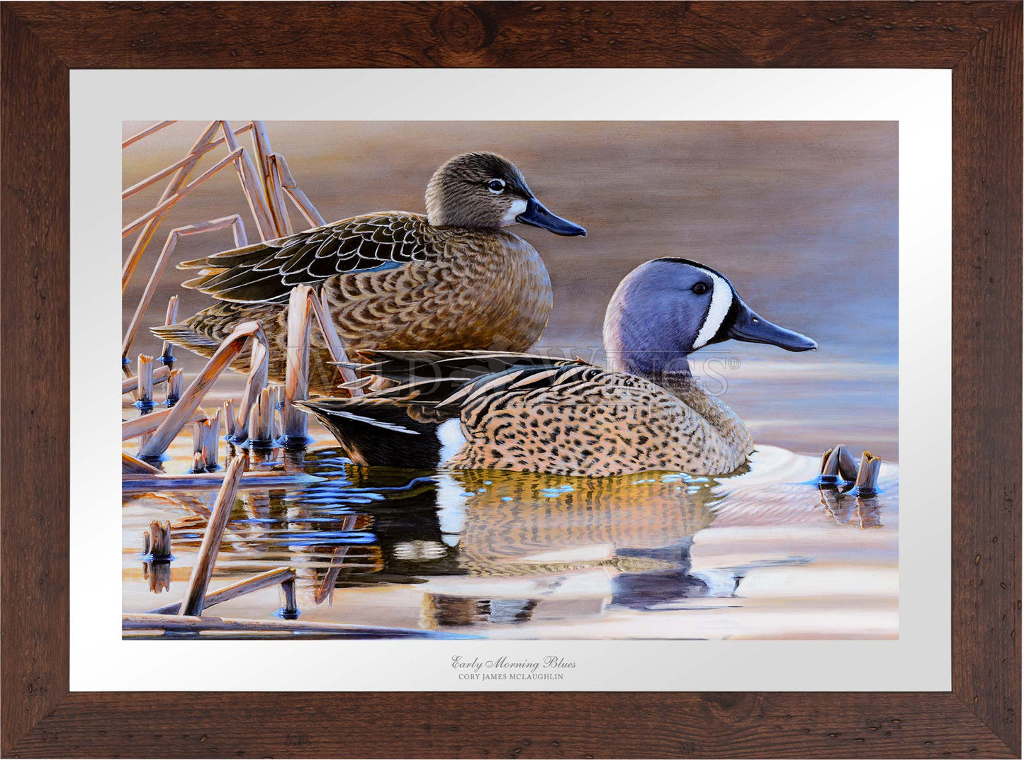 Framed two ducks in waters