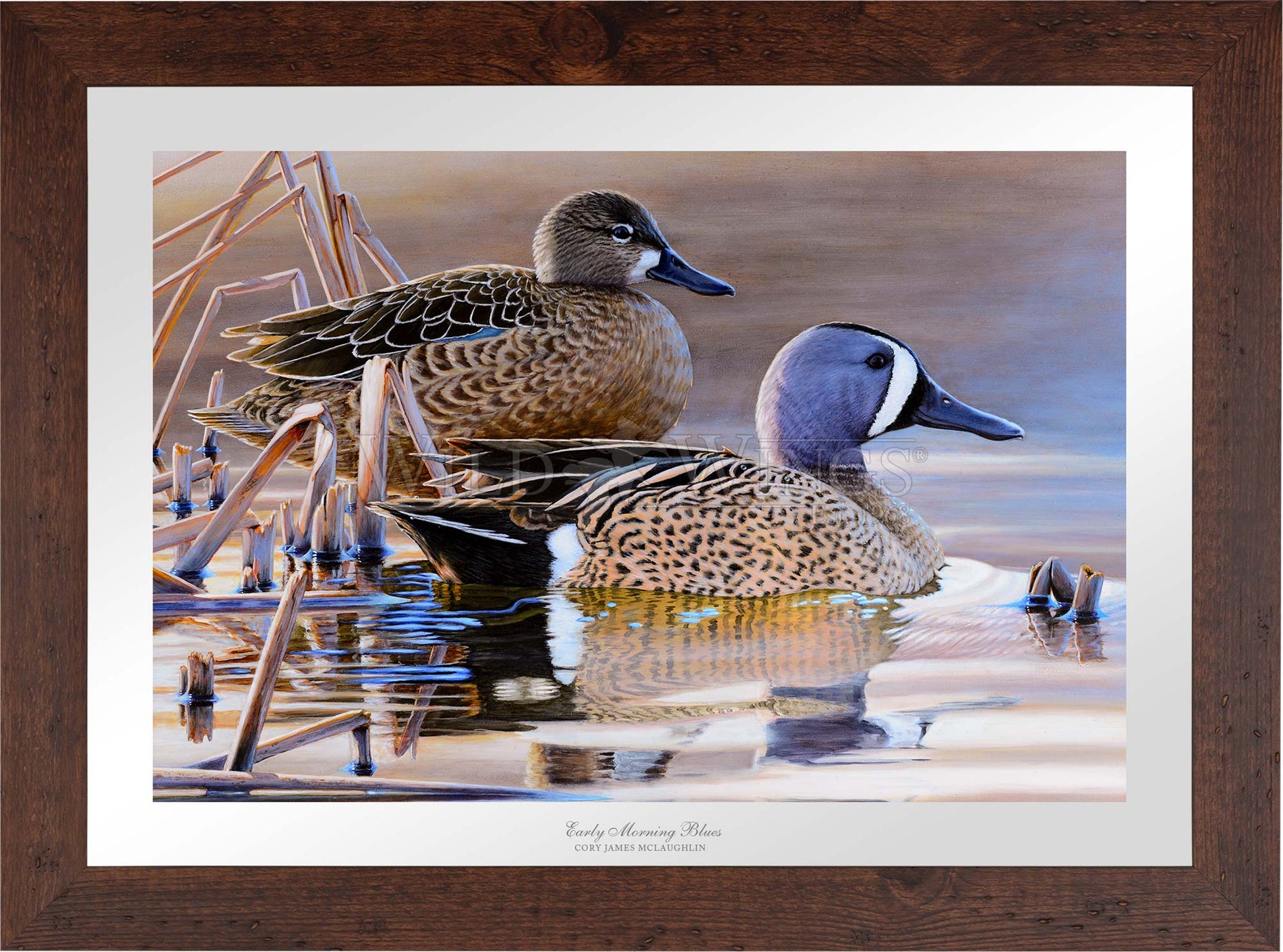 Framed two ducks in waters