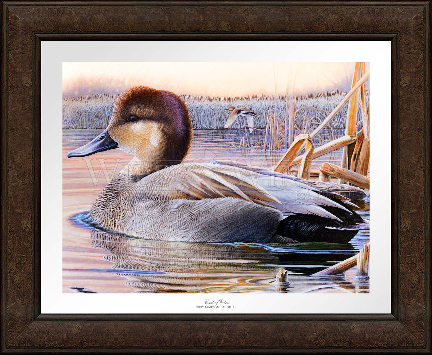 Framed image of a duck in the river 