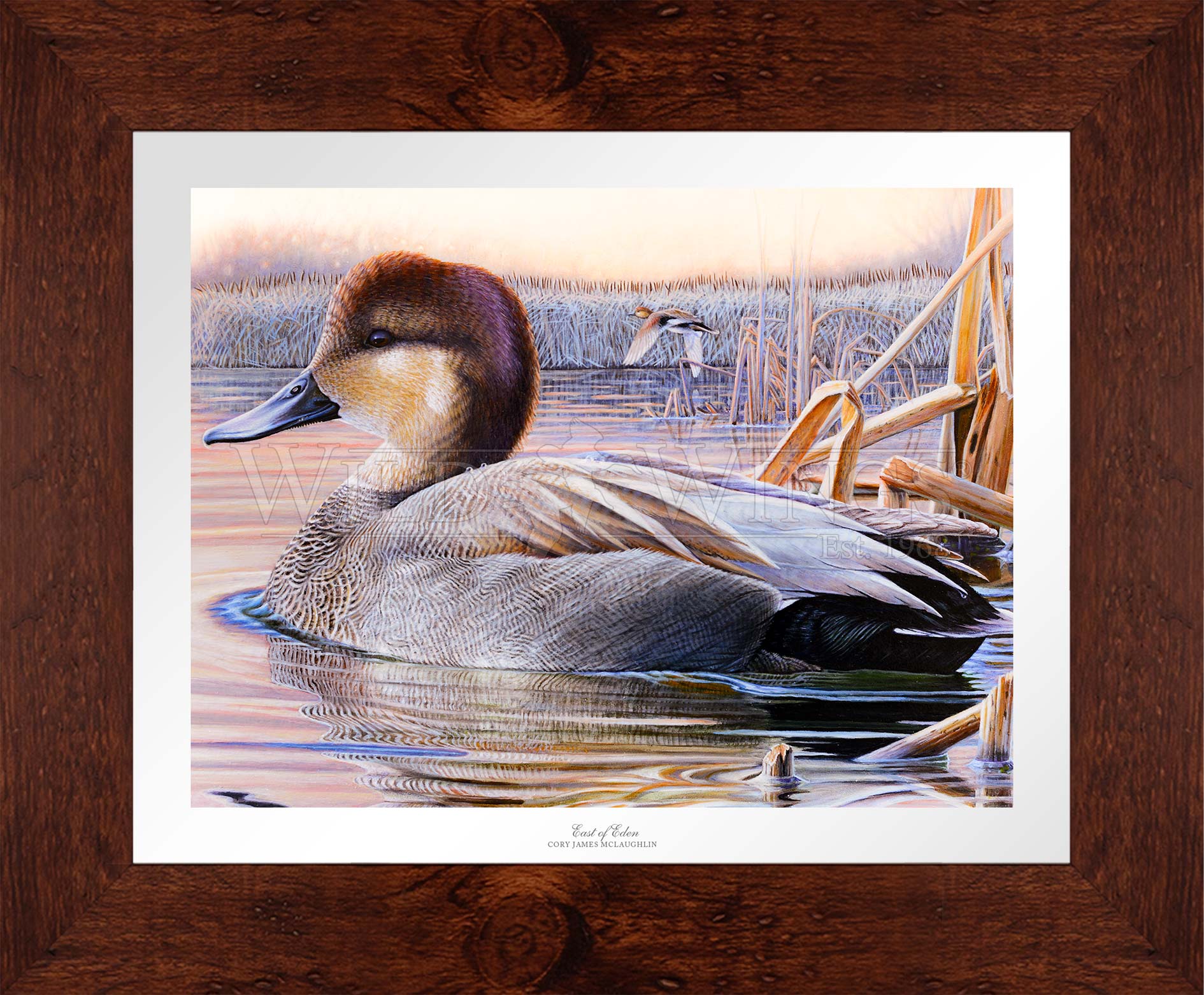 Framed image of a duck in the river 