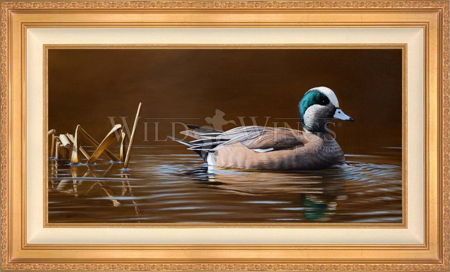 Framed duck in waters