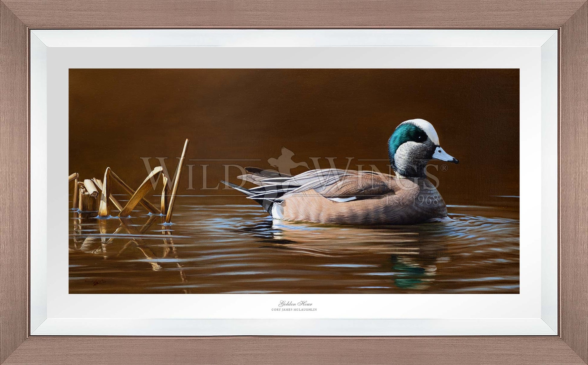 Framed duck in waters