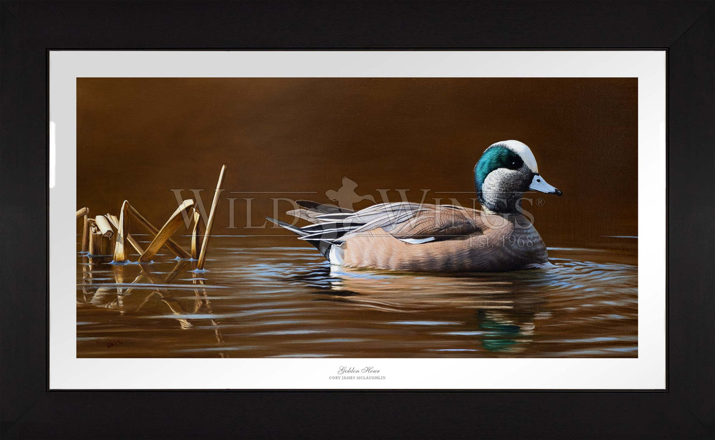Framed duck in waters