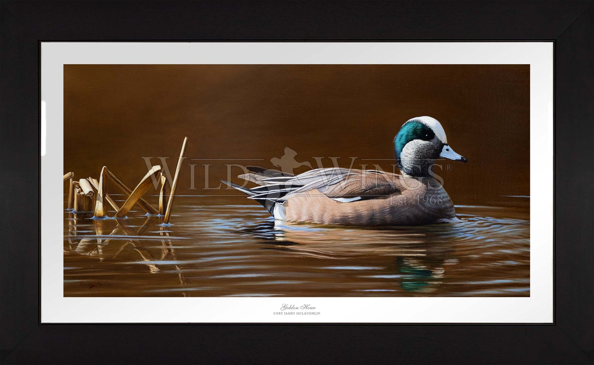 Framed duck in waters