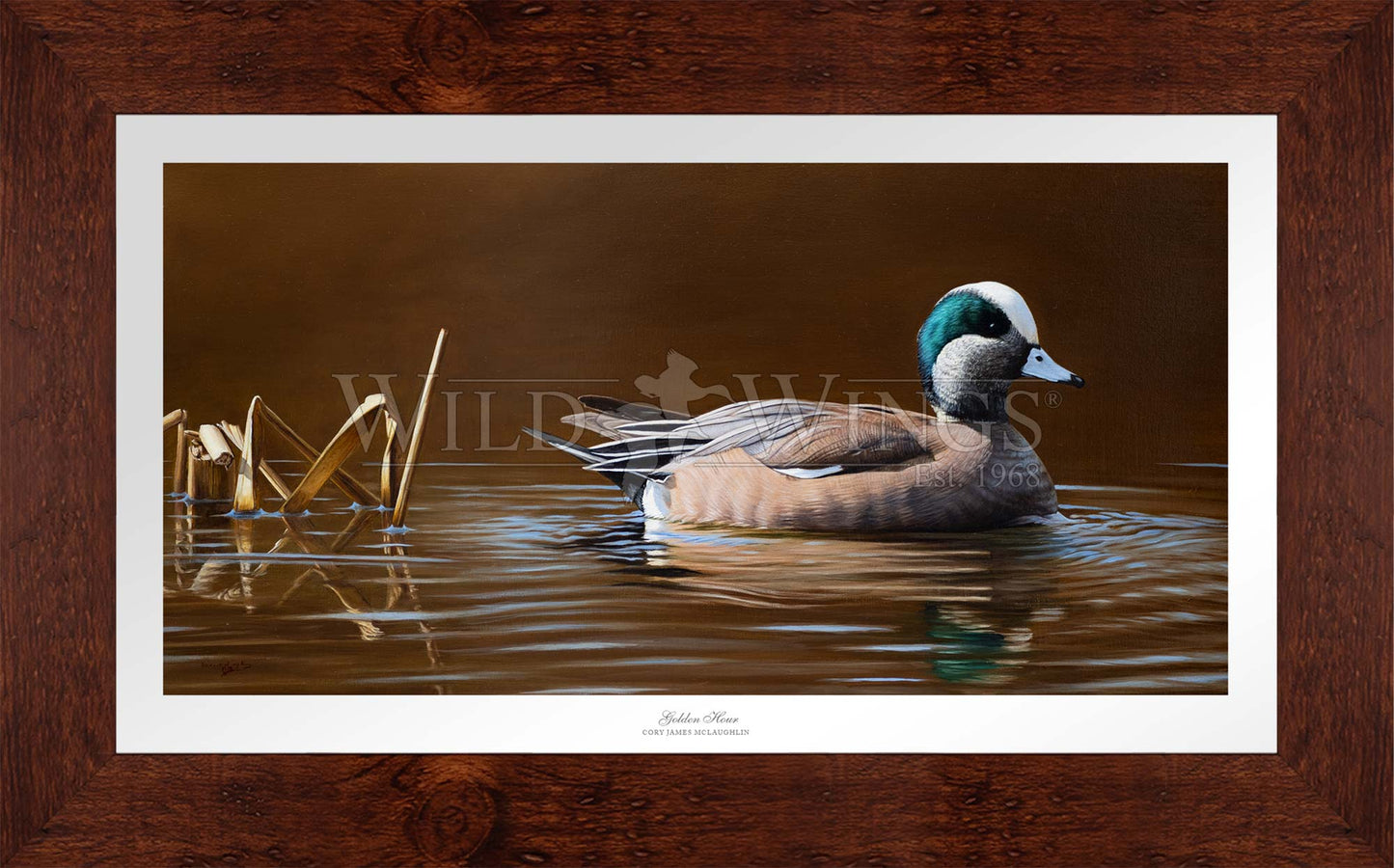 Framed duck in waters