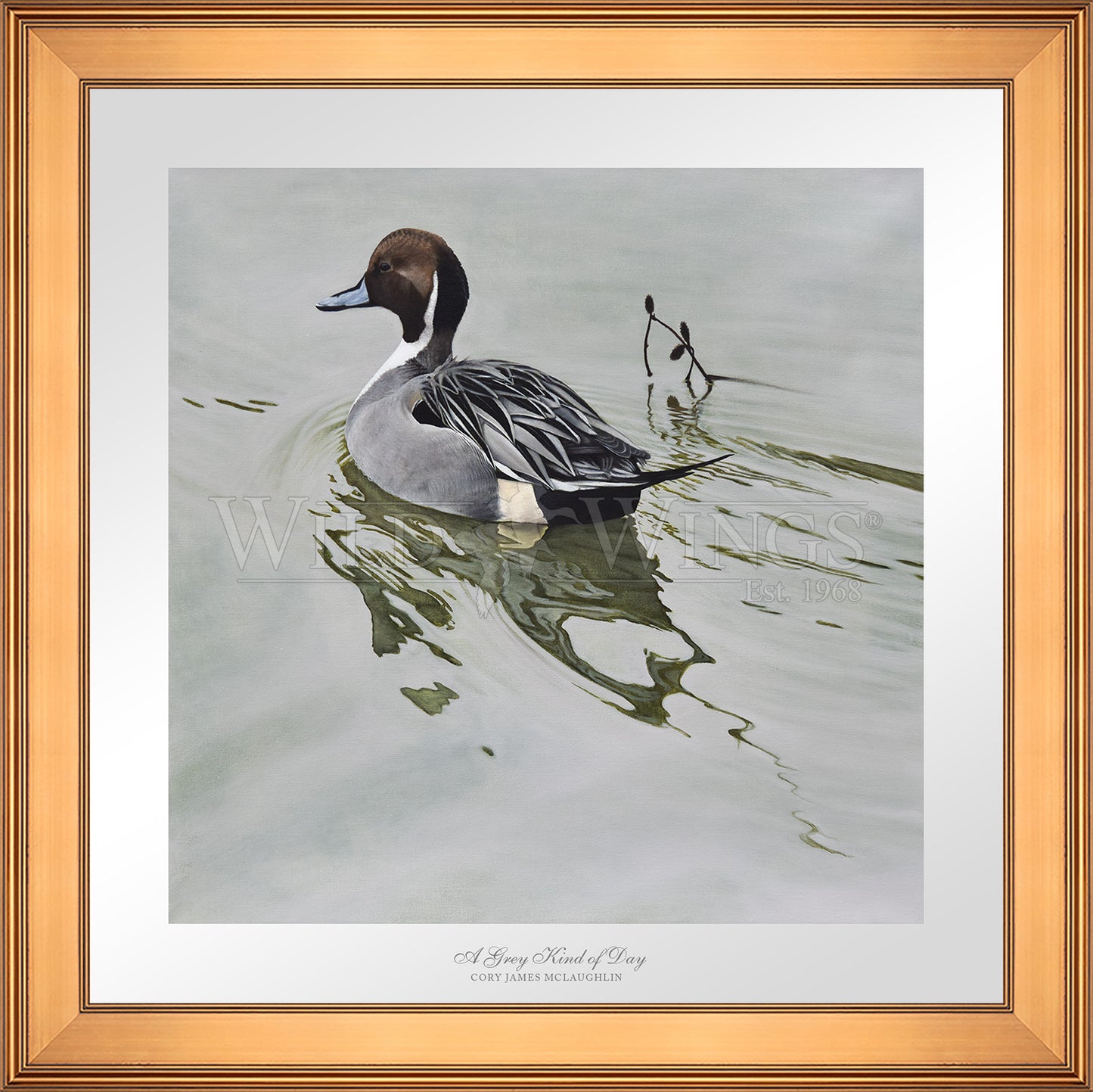 Framed image of duck in the river