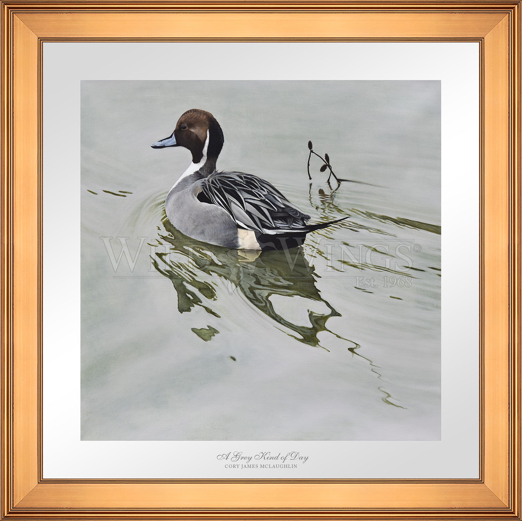 Framed image of duck in the river