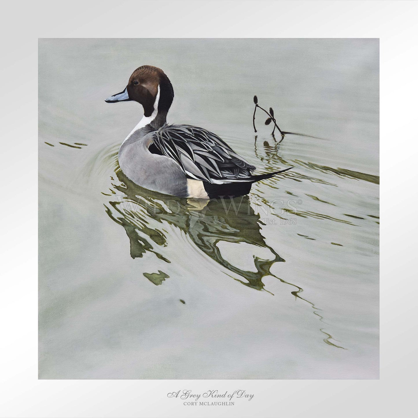 Framed image of duck in the river