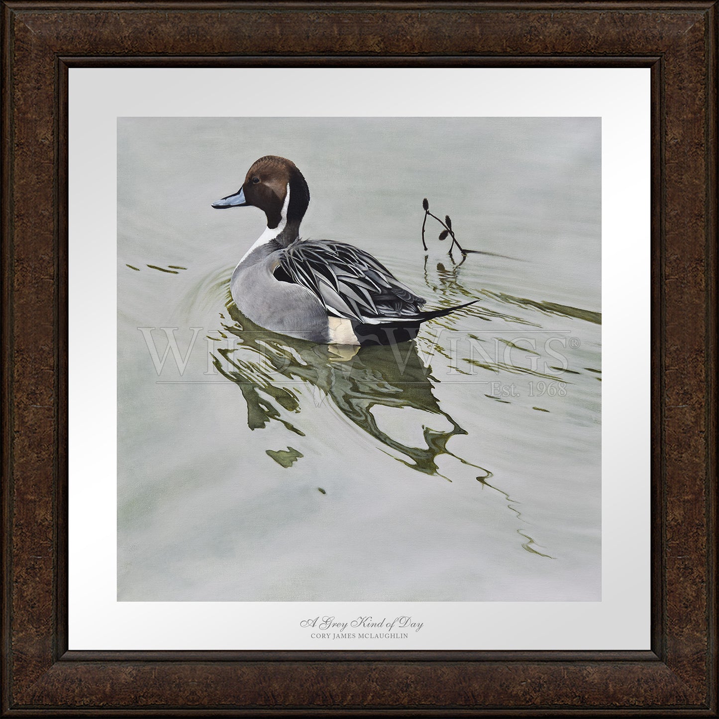 Framed image of duck in the river
