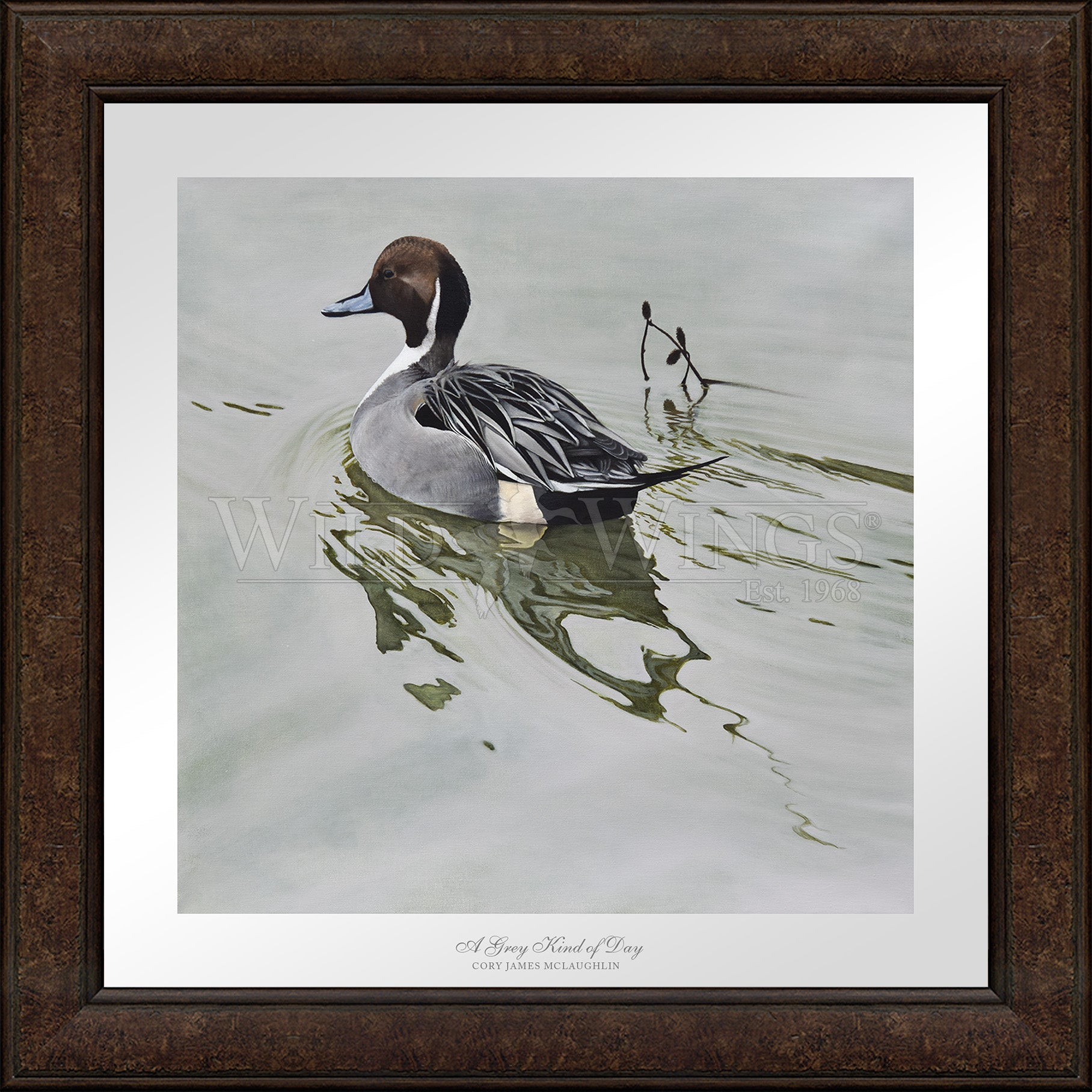 Framed image of duck in the river