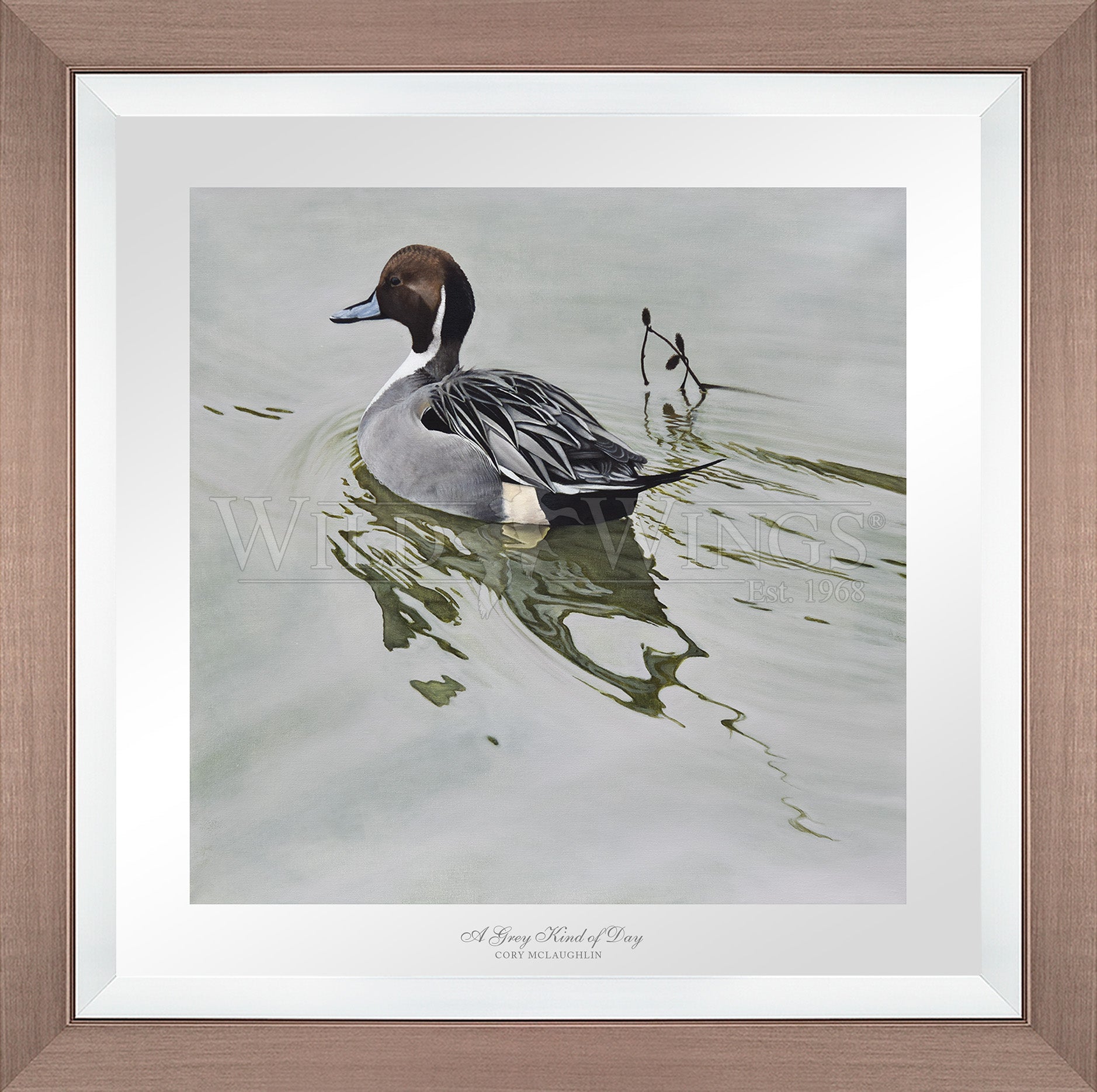 Framed image of duck in the river