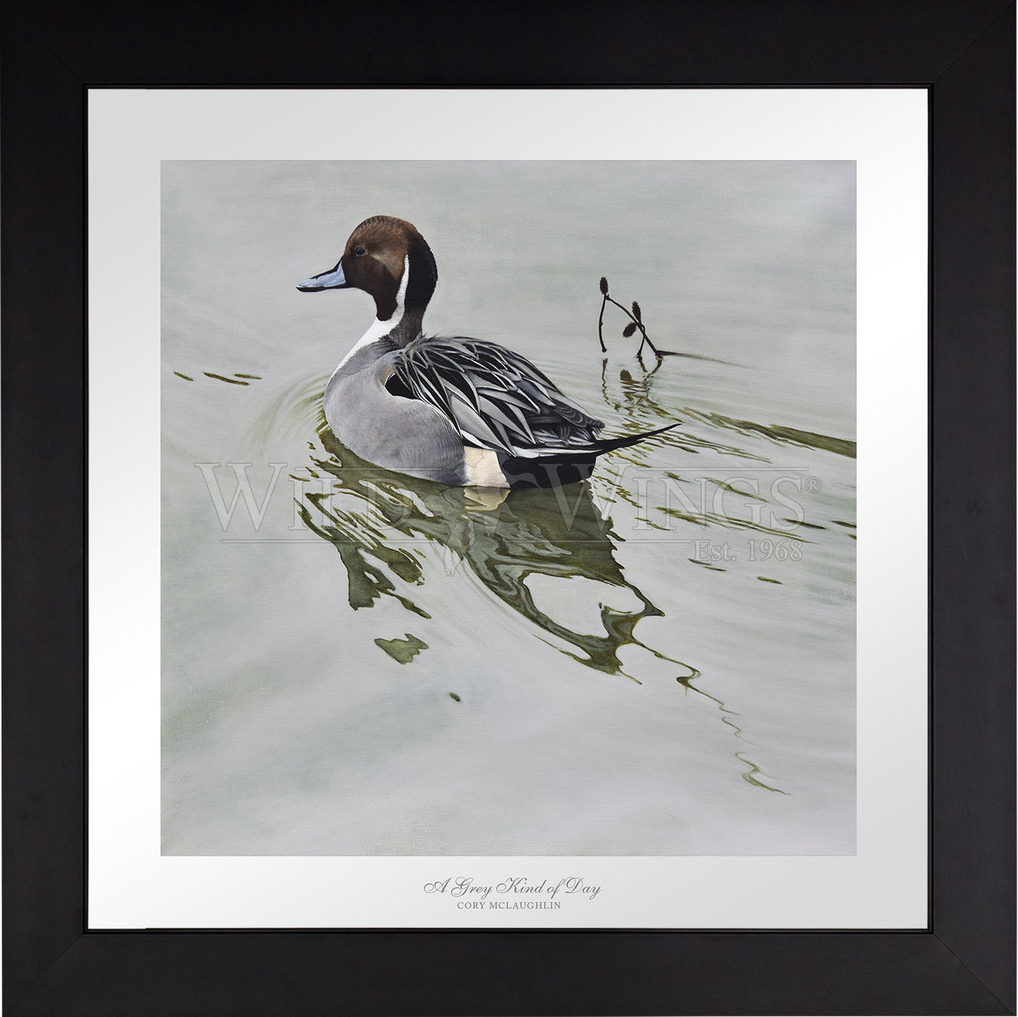 Framed image of duck in the river