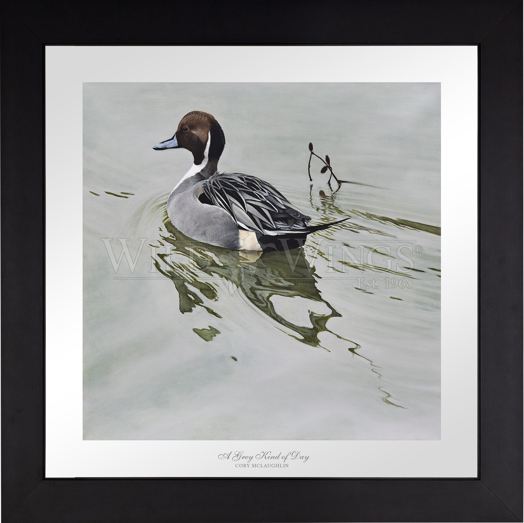 Framed image of duck in the river