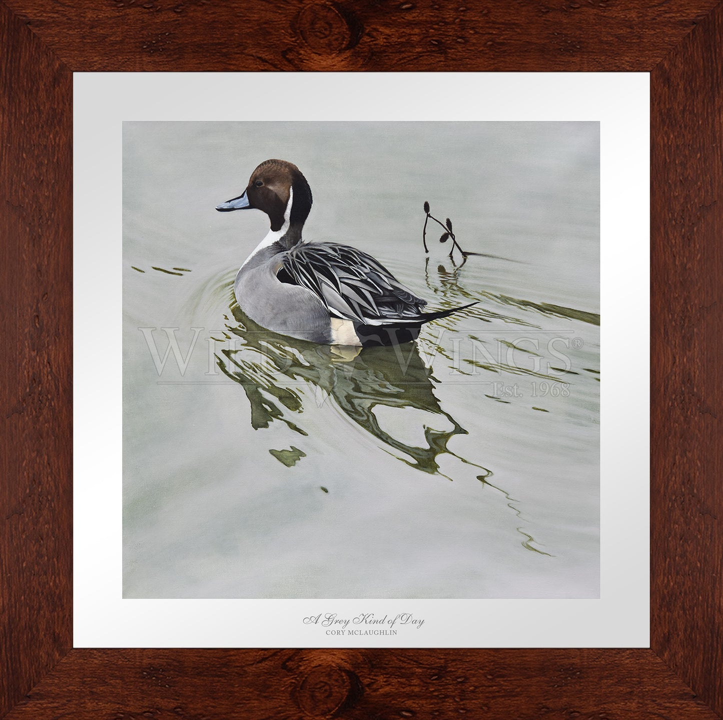 Framed image of duck in the river