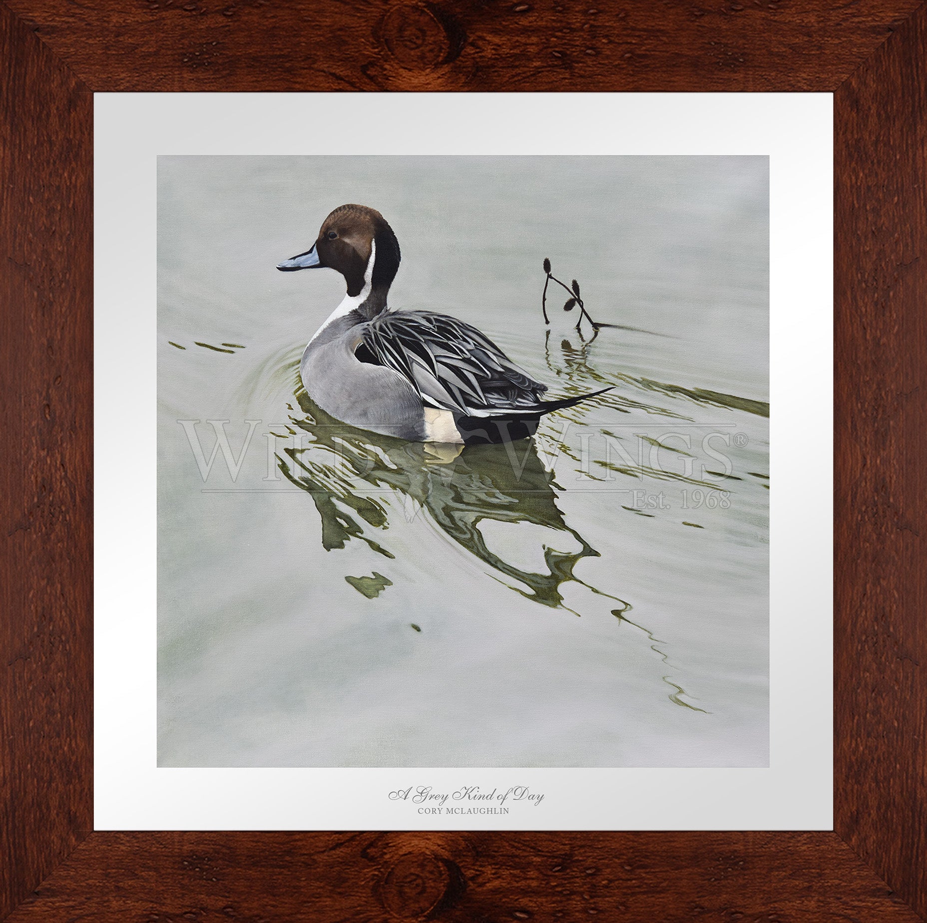 Framed image of duck in the river