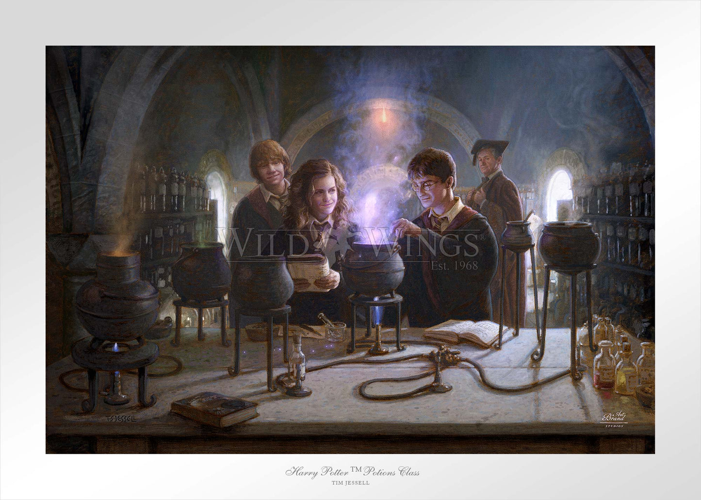 Harry Potter™ Potions Class - Limited Edition Paper