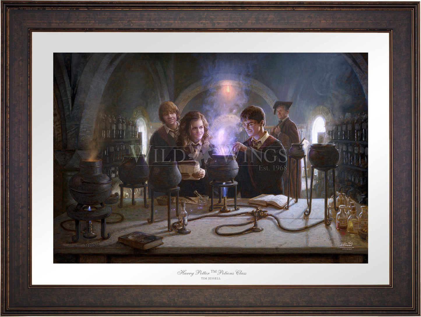 Harry Potter™ Potions Class - Limited Edition Paper